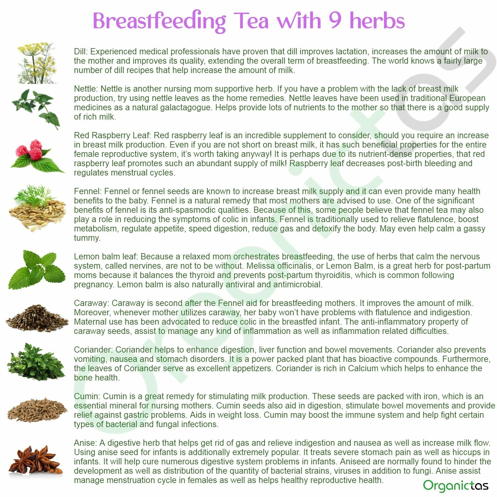 Organic Nursing Tea for Breastfeeding Mothers, increases & stimulates Lactation thumbnail 4