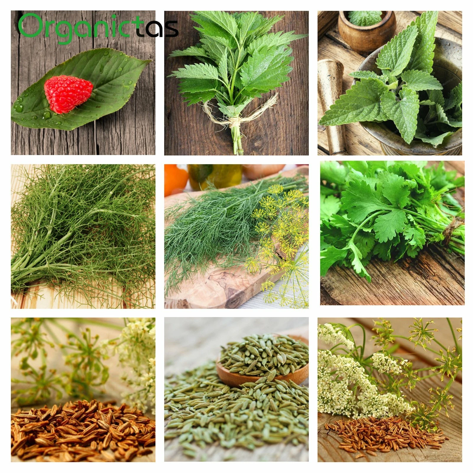 Organic Nursing Tea for Breastfeeding Mothers, increases & stimulates Lactation thumbnail 5