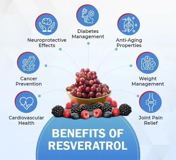 Indole-3-Carbinol + Resveratrol 1000mg Capsules | Detox & Cellular | VITAPHARMA thumbnail 5