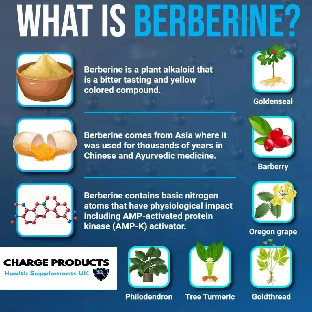 Berberine 10000mg 365 Tablets Blood Sugar & Metabolic Support High Strength 10:1 thumbnail 8