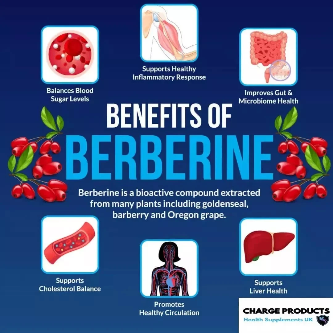 Berberine 10000mg 365 Tablets Blood Sugar & Metabolic Support High Strength 10:1 thumbnail 9