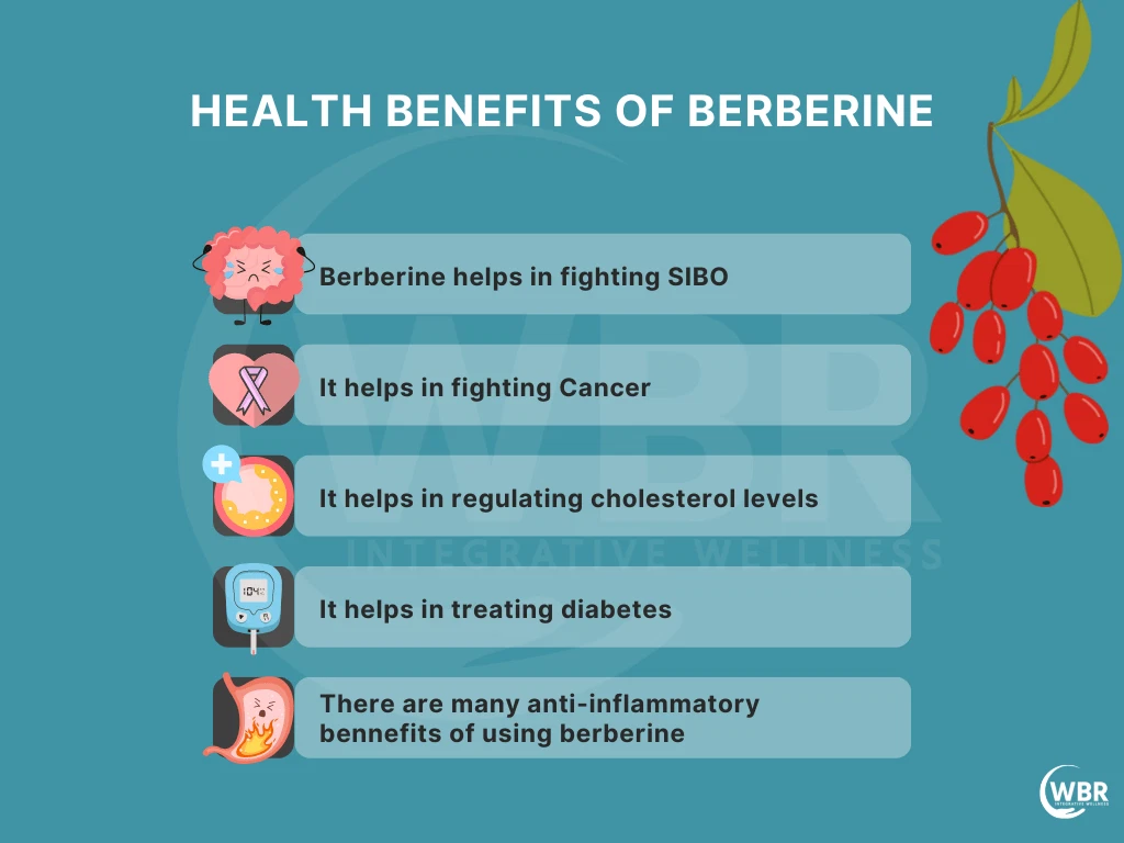 Berberine 1000mg 365 Tablets | Metabolism & Glucose Support VITAPHARMA thumbnail 4