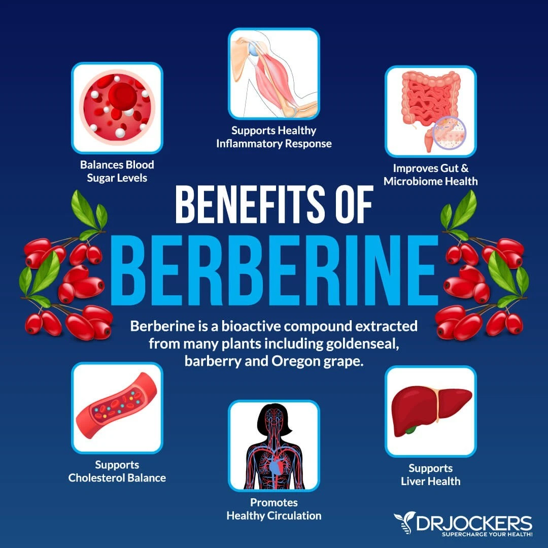Berberine 1000mg 365 Tablets | Metabolism & Glucose Support VITAPHARMA thumbnail 5