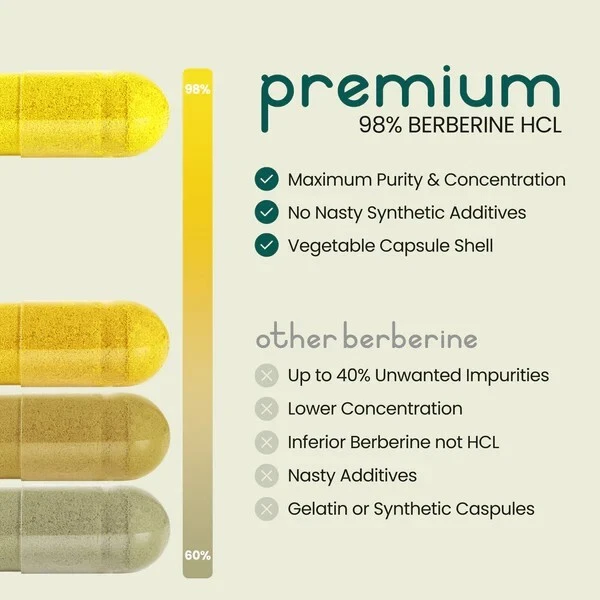 Berberine High Strength 15,000mg 600mg (25:1) Vegan Capsules 100% Pure & Natural thumbnail 4